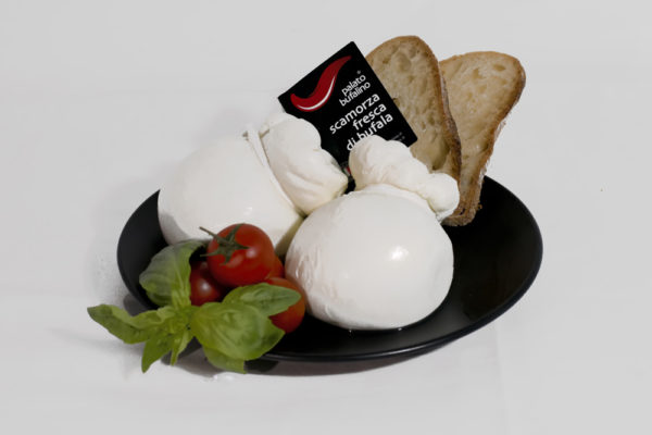 Scamorza di Bufala - Palato Bufalino